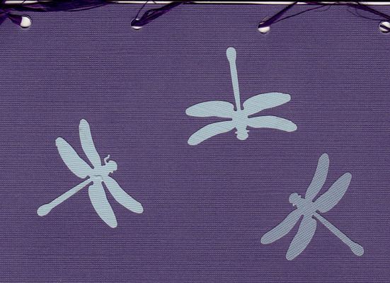 145 - Blue dragonflies on deep textured purple paper