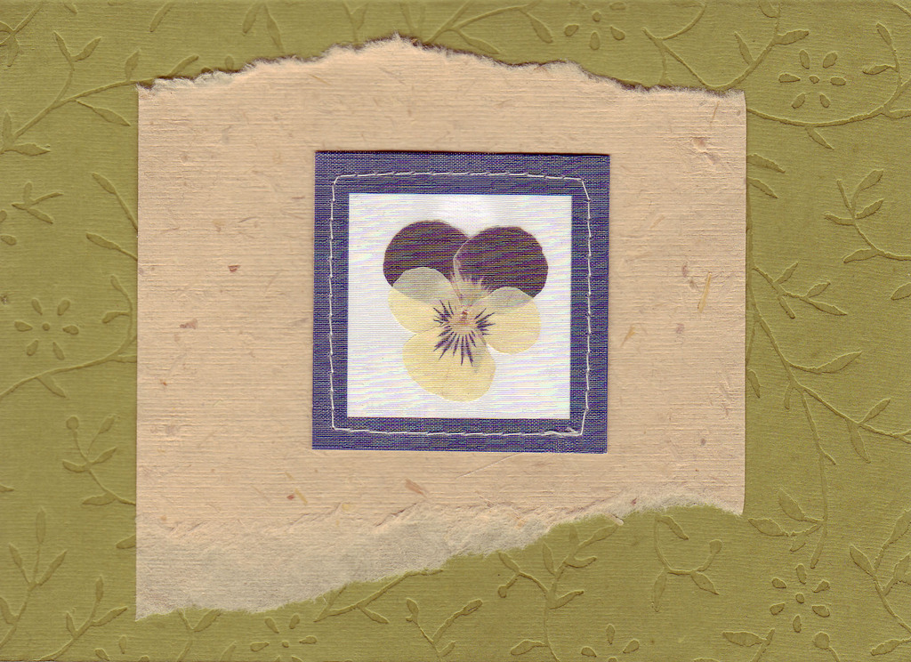 149 - Pansy on lush flower-pattern embossed paper