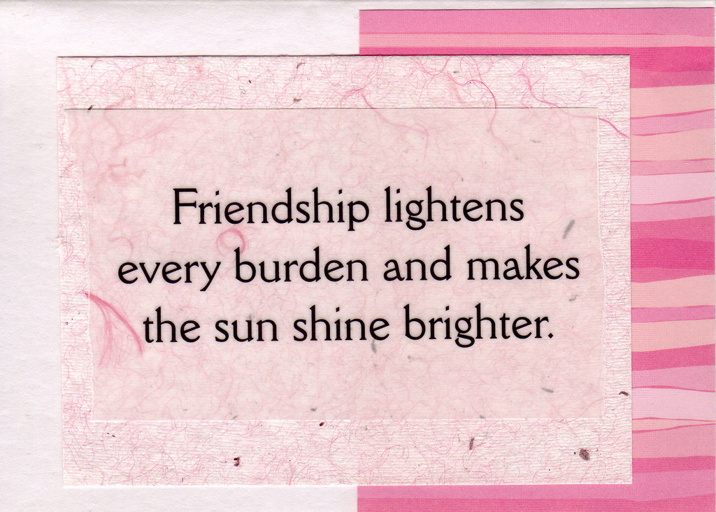 175 - 'Friendship lightens every burden...' on fuzzy pink paper