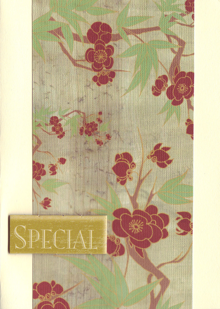 154 - 'Special' on cherry blossom paper