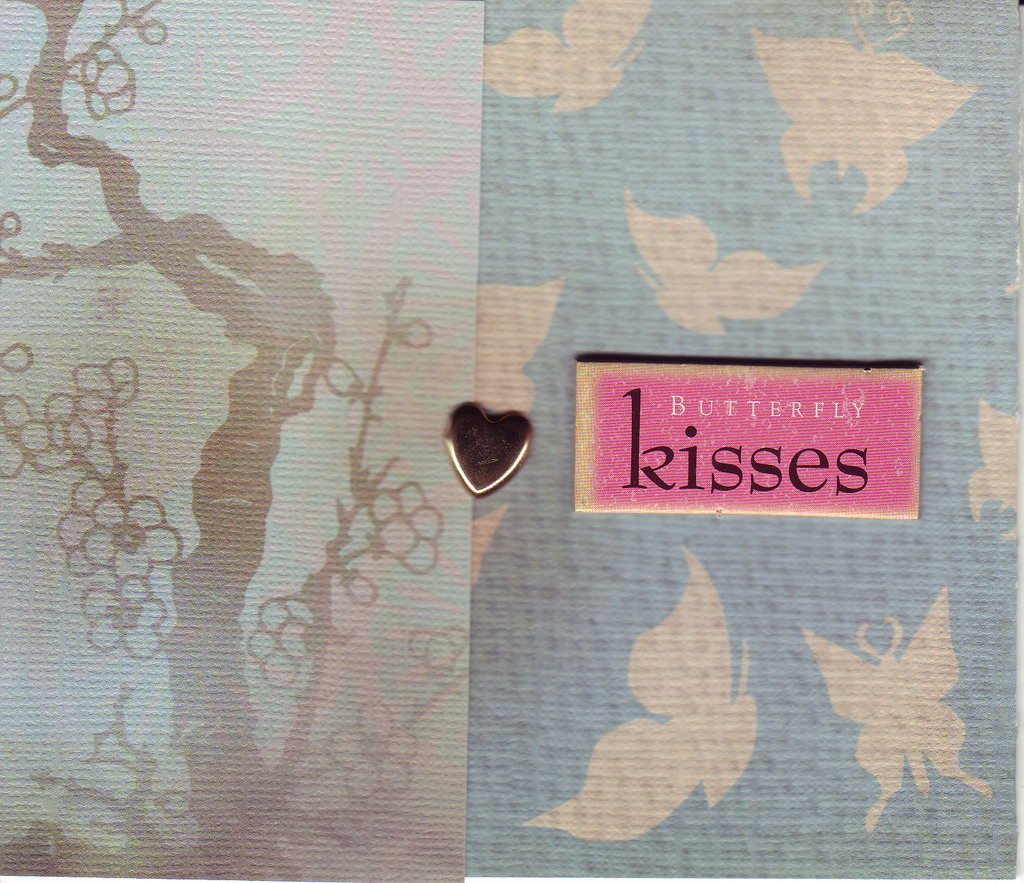 159 - 'Butterfly Kisses' on butterfly and tree print paper