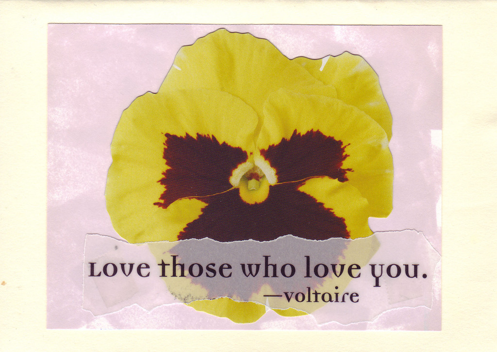184 - 'Love those who love you' on large printed flower