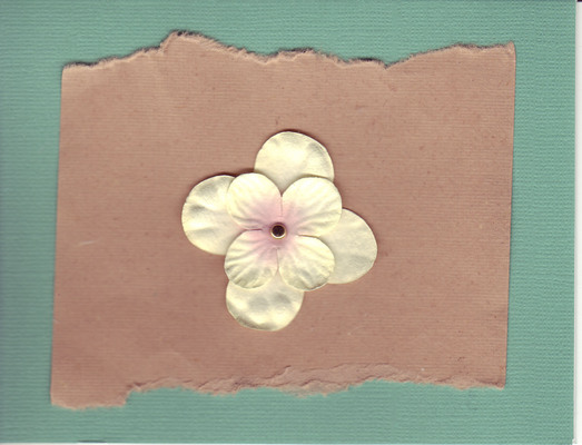 049 - Flower on brown and green paper