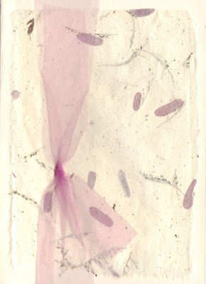 107 - Net bow on paper with embedded petals