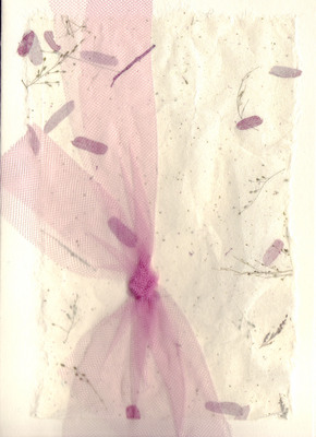 109 - Net bow on paper with embedded petals