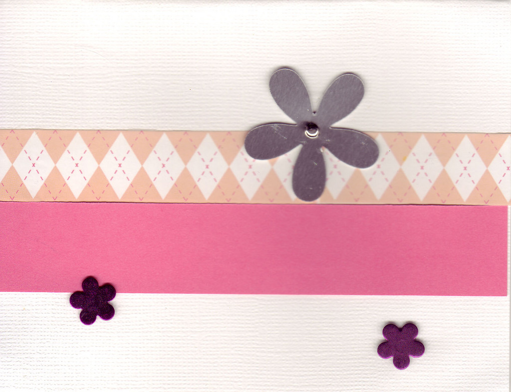 004 - Flowers on white background with pink band