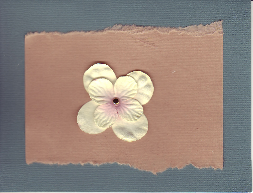 050 - Flower on brown and blue paper