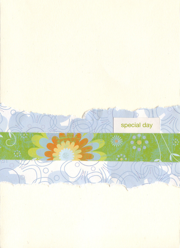 111 - 'Special Day' with layered blue and green floral paper