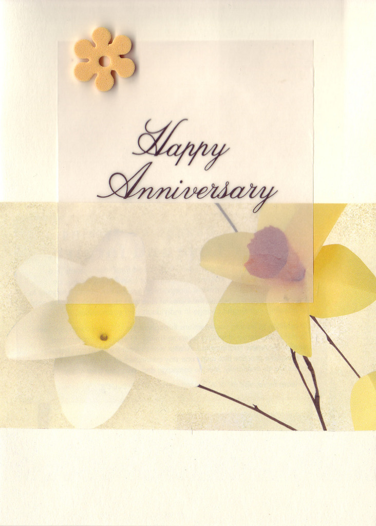 121 - 'Happy Anniversary' on vellum, overlaid on daffodil print paper