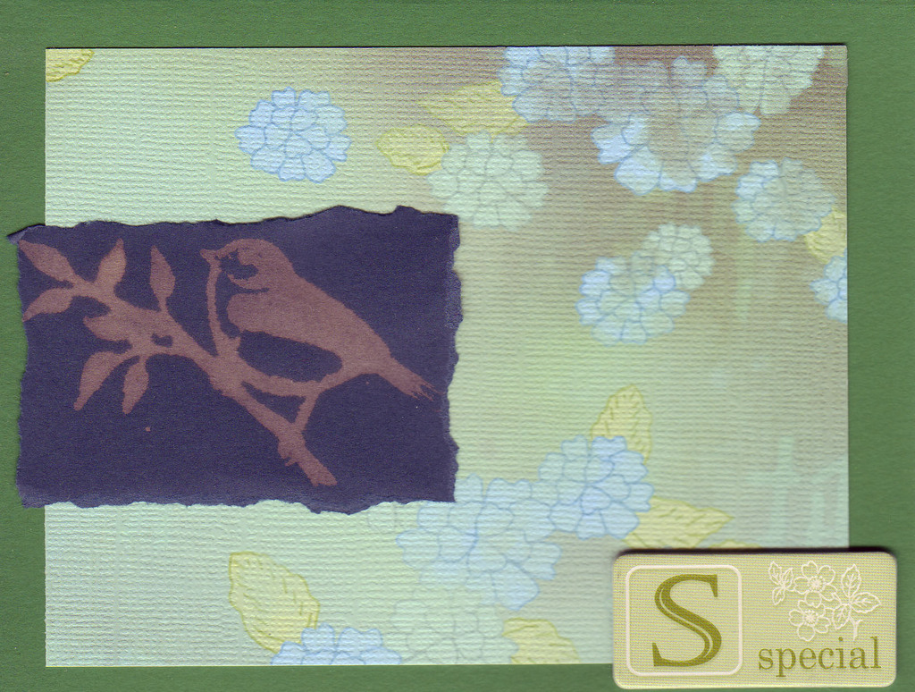 242 - Bird stamp with floral paper and 'Special'