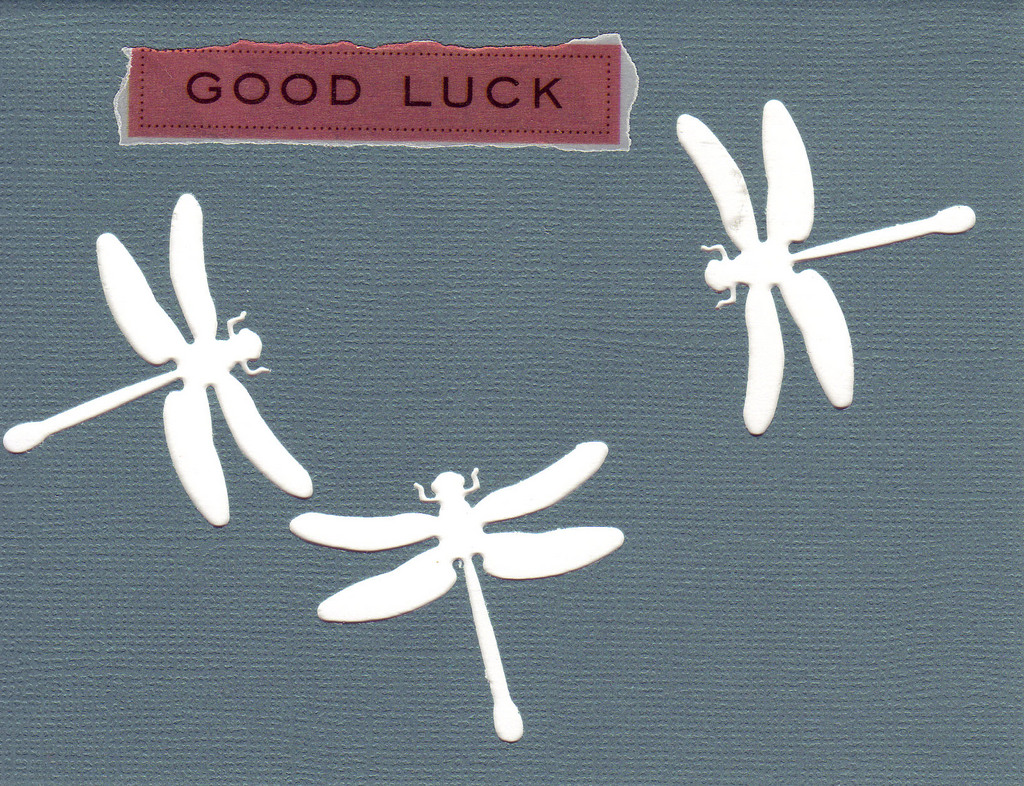 151 - 'Good Luck' atop charcoal paper with dragonfly cutouts on a white card