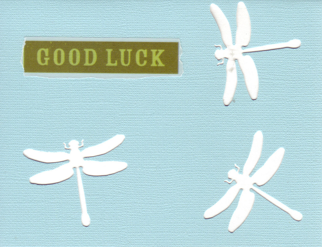 154 - 'Good Luck' on a sky-blue card  with dragonfly cutouts