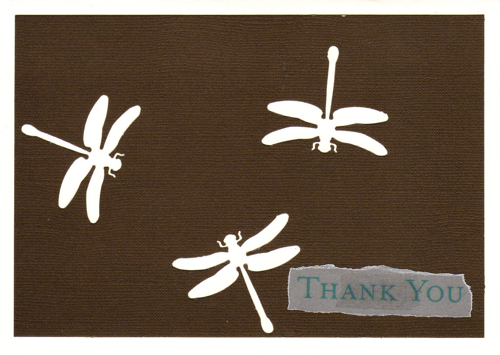 155 - 'Thank you' atop deep brown paper with dragonfly cutouts on a white card
