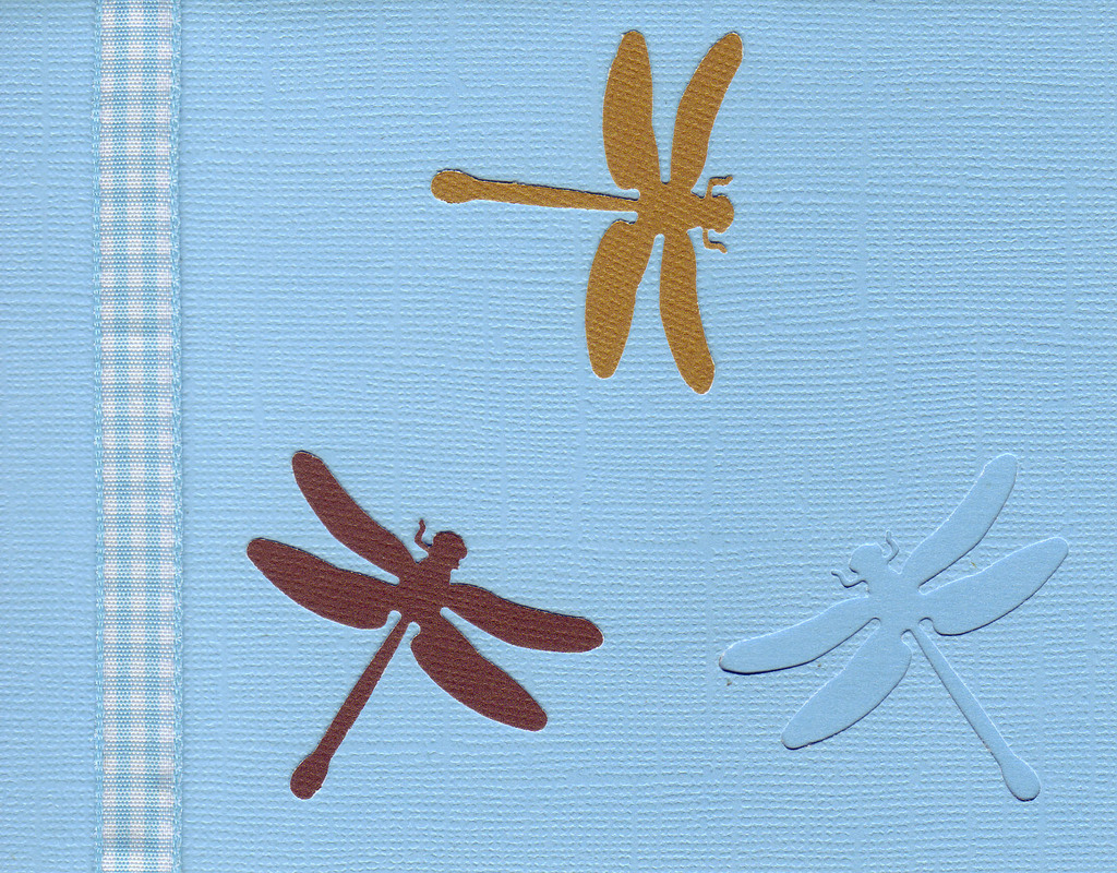 156 - Dragonflies on a blue card with checkered ribbon highlight