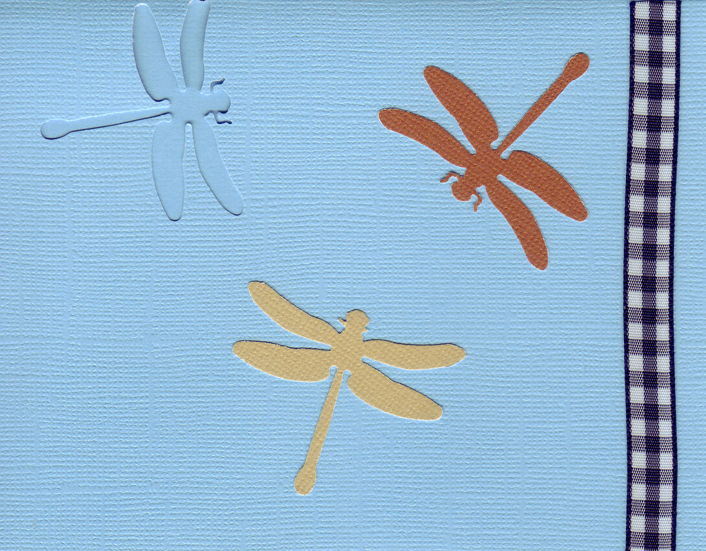 158 - Dragonflies on a blue card with checkered ribbon highlight