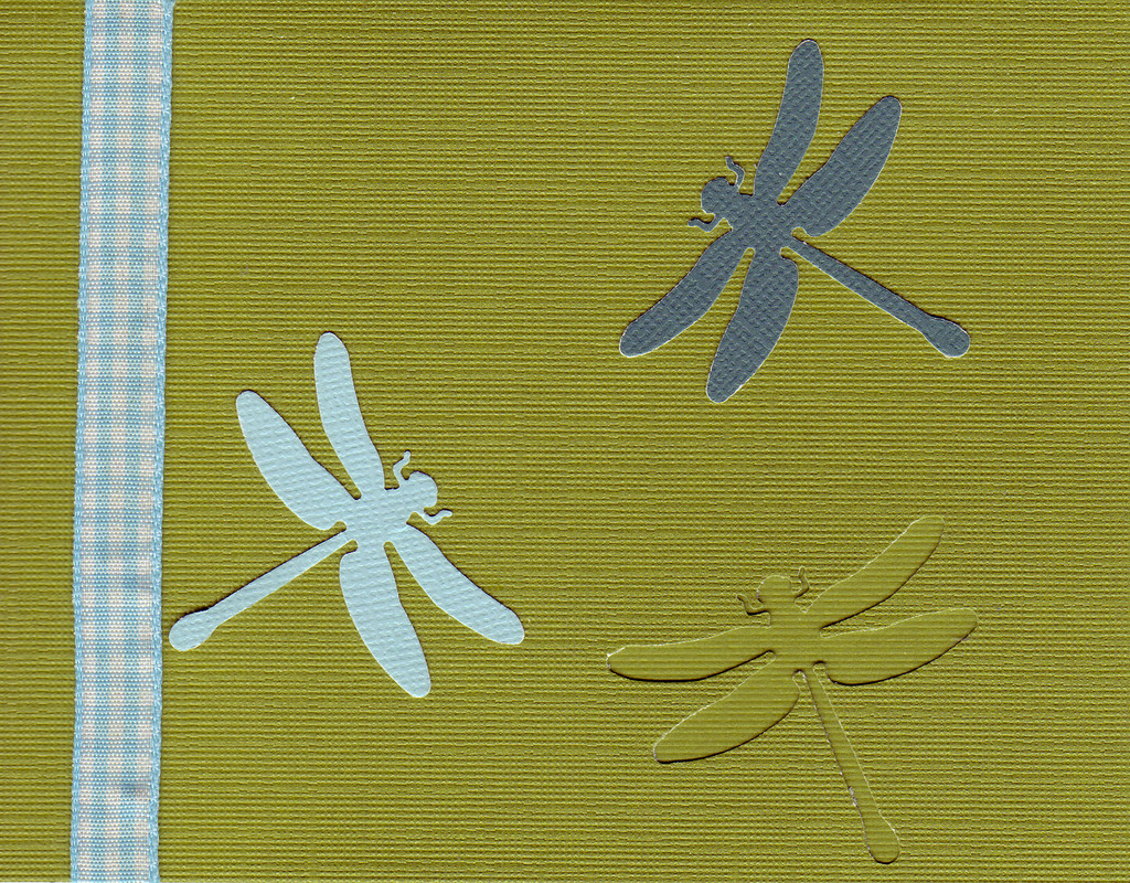 160 - Dragonflies on a green card with checkered ribbon highlight