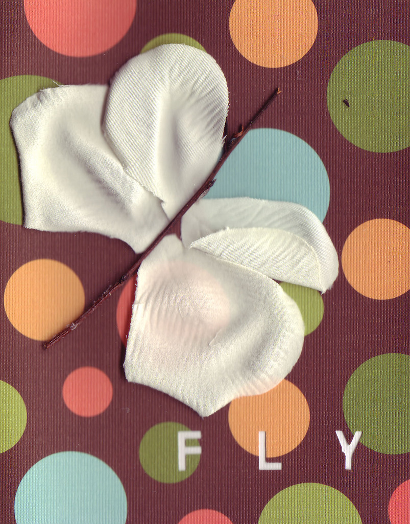 037A - 'Fly' set on bubble patterned paper, dragonfly card