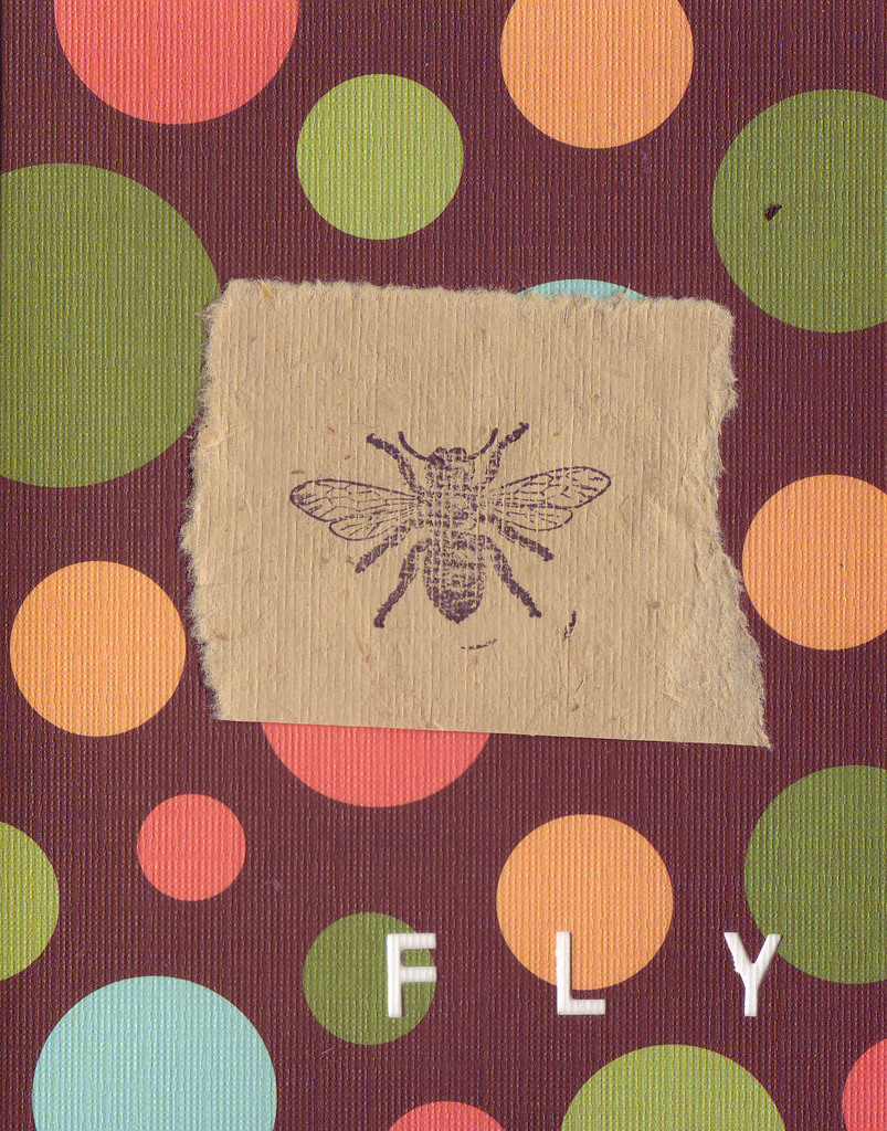 037C - 'Fly' set on bubble patterned paper, honeybee card