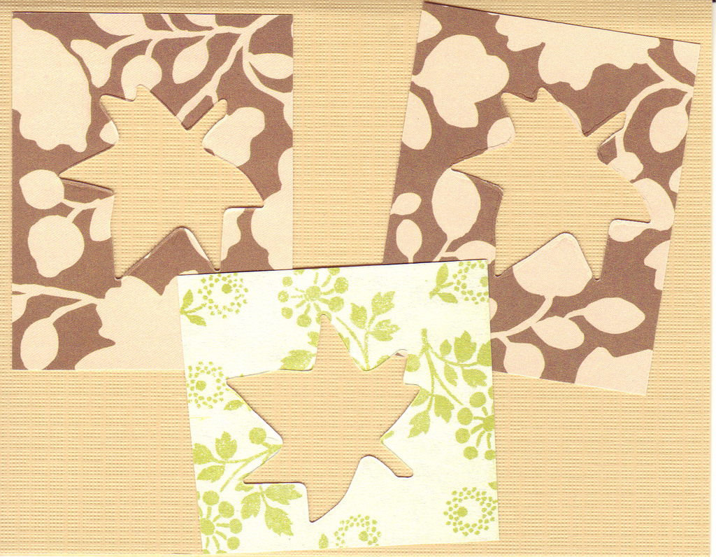 003 - Leaf cutouts from autumnal paper, on a light orange background